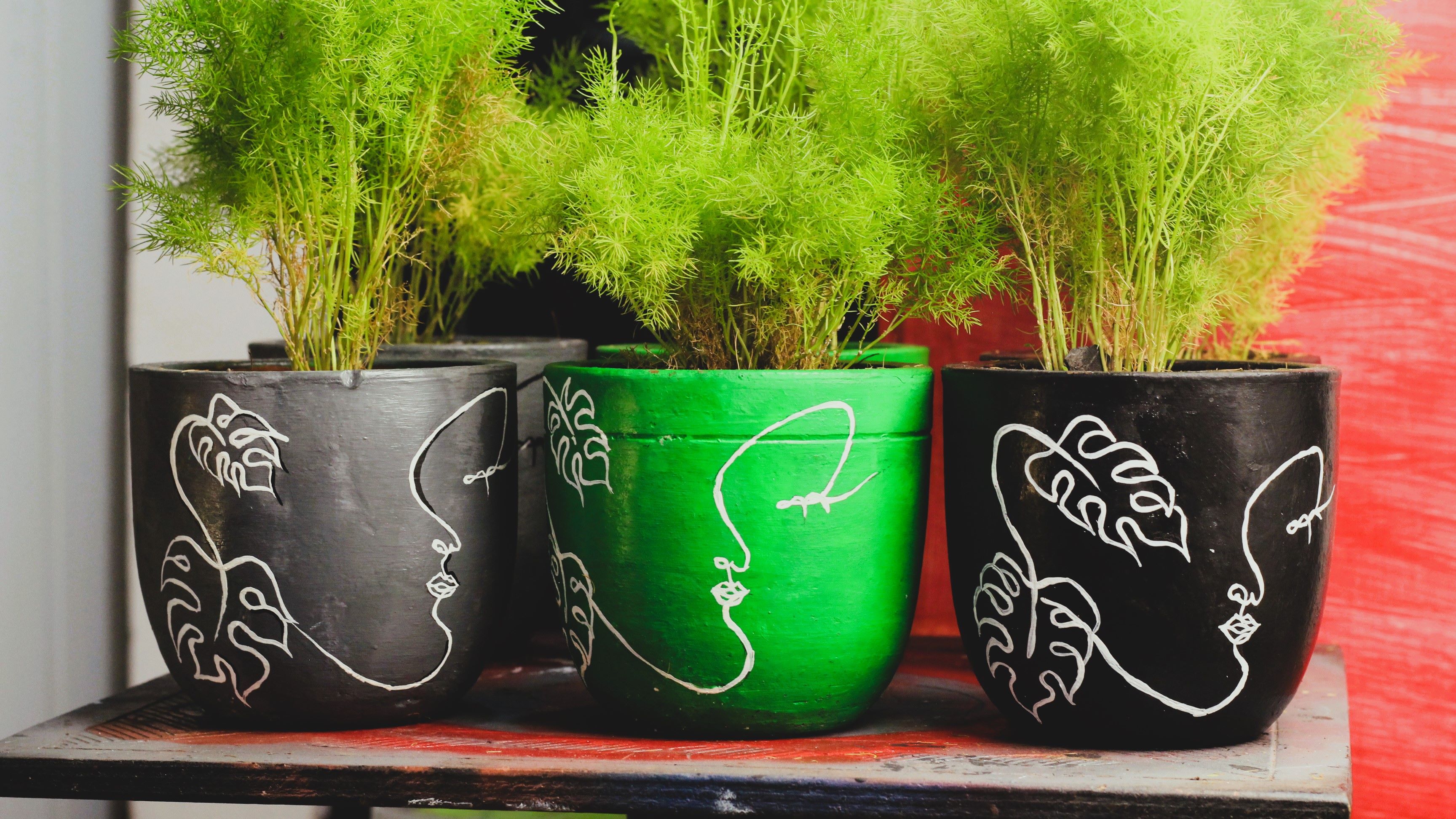 Custom Paint Plant Pots