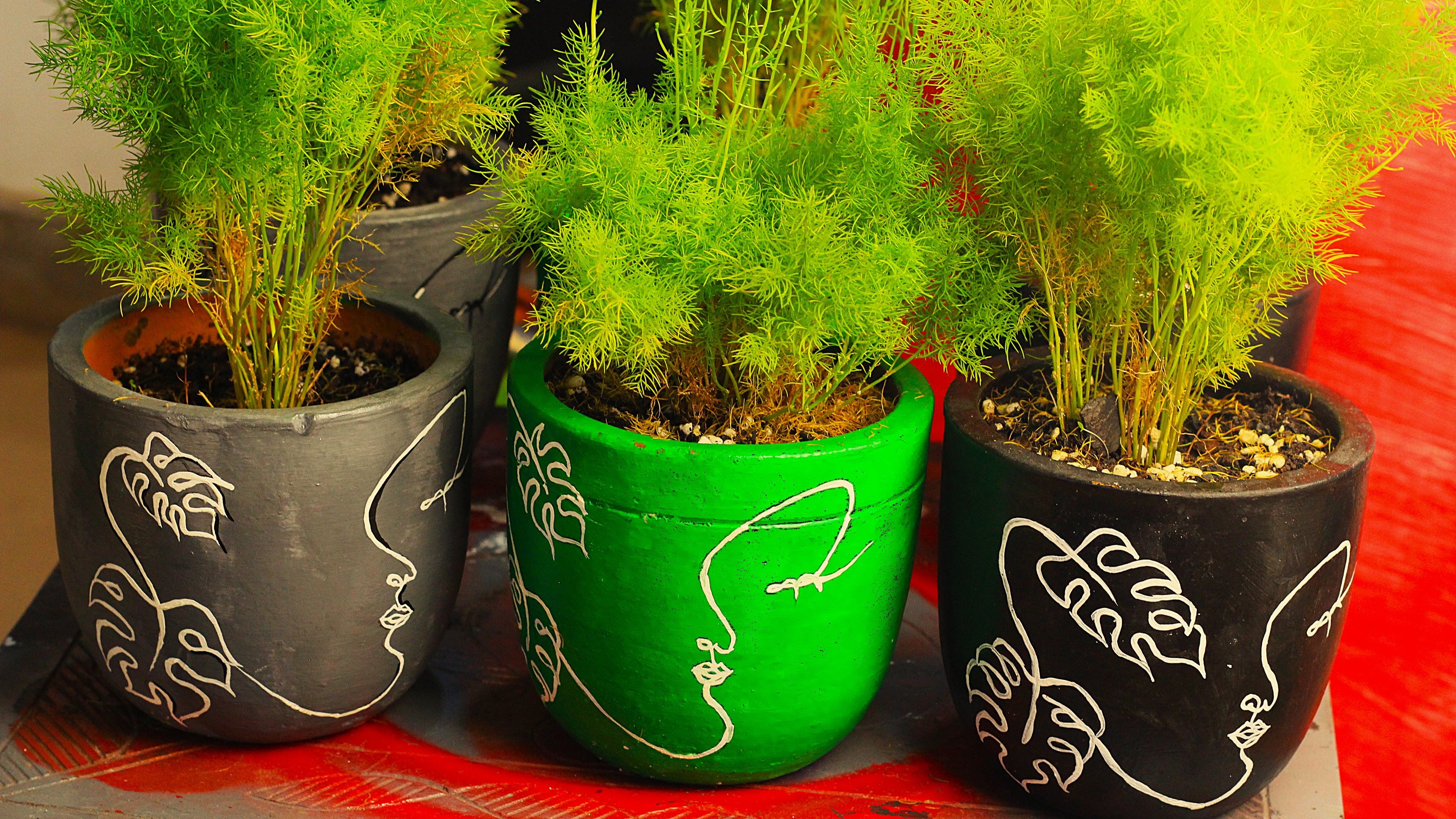 Custom Paint Plant Pots