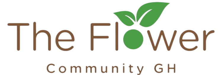 Fun Plant Workshops in Ghana