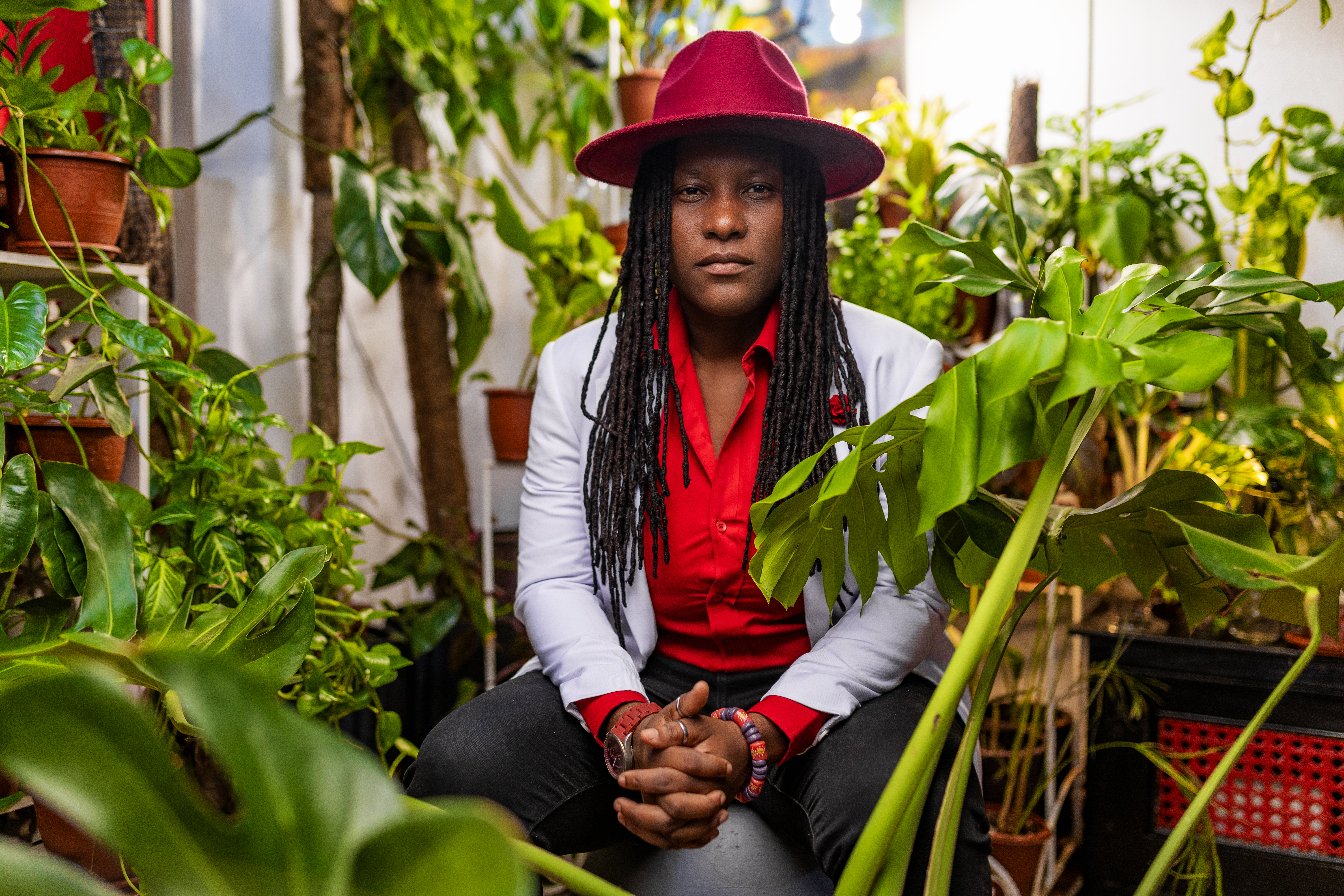 Founder The PlantPlug GH