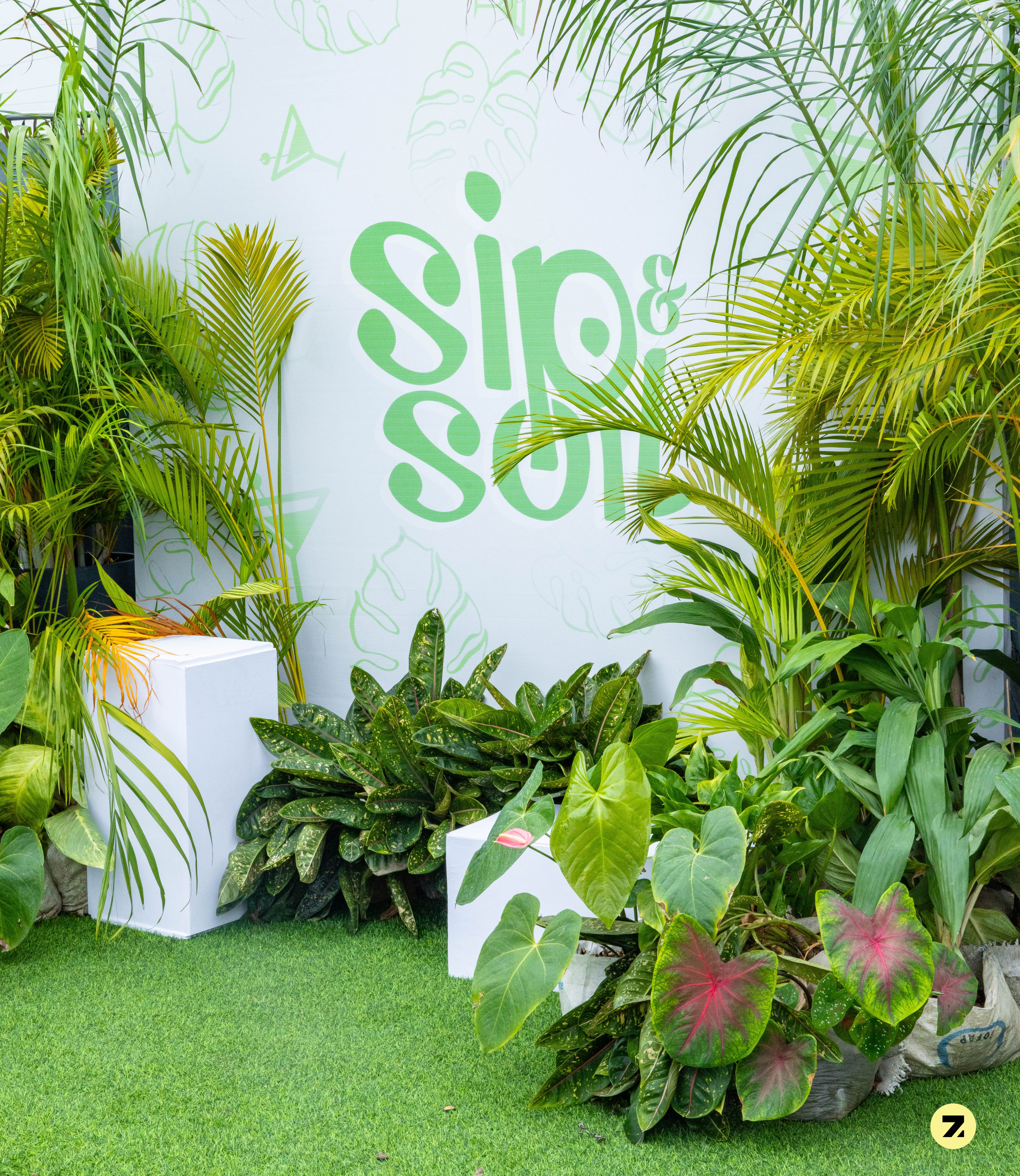 Plant Installation Services In Ghana