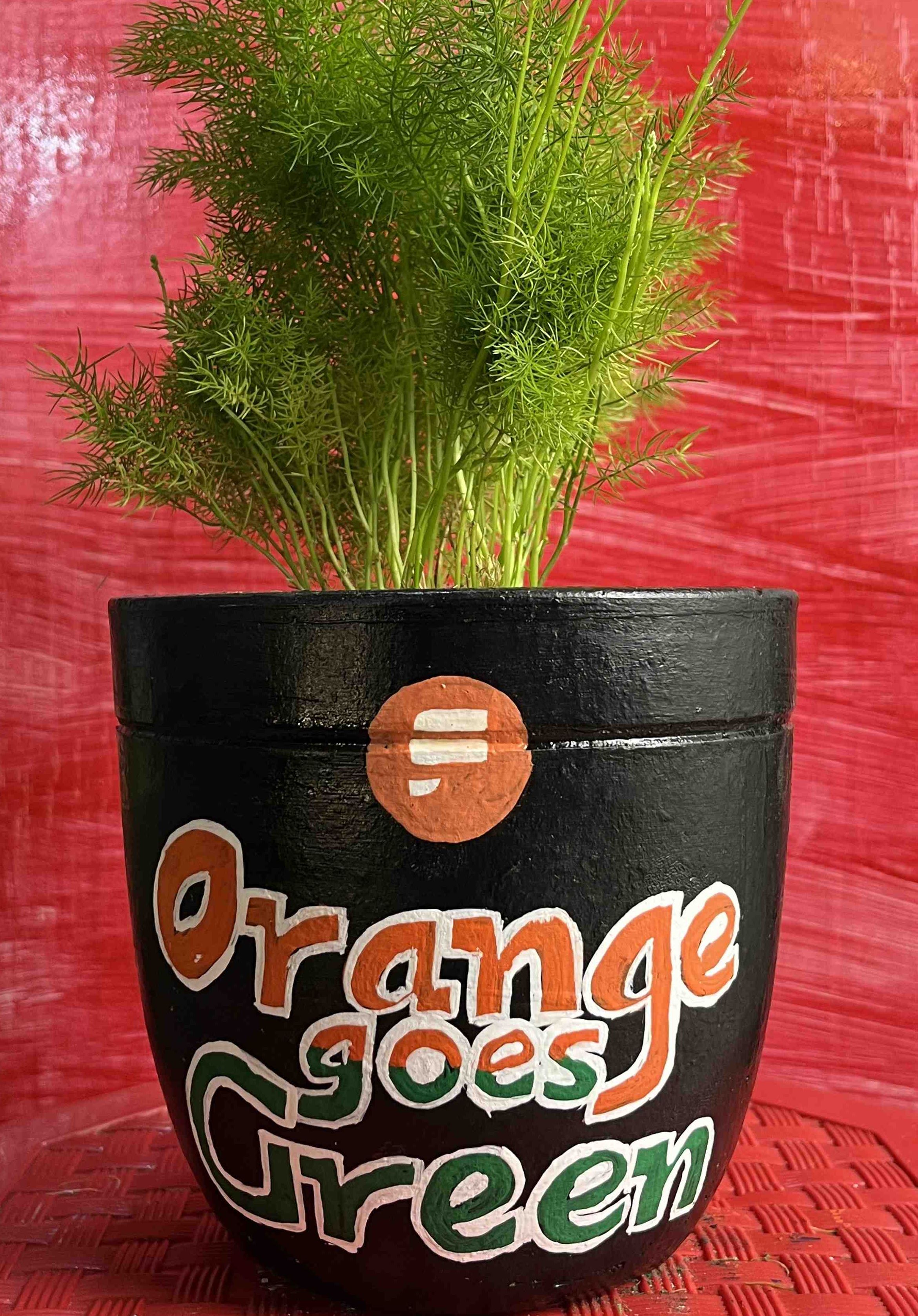 Shop Your Plants From Us 